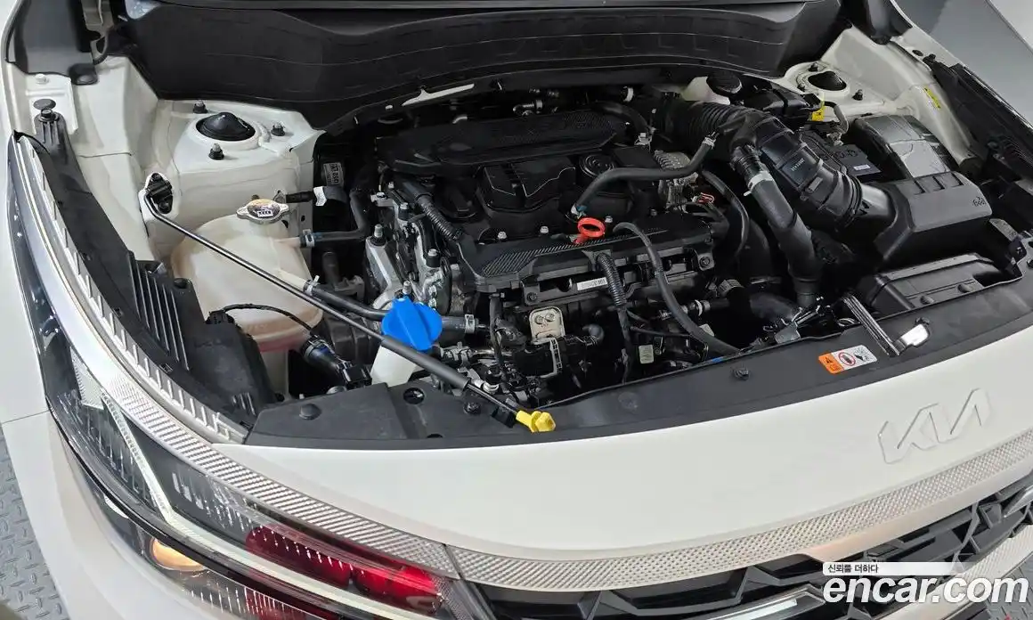 Kia Seltos 2023 1.6 Автомат в Москве № 132261, фото 1