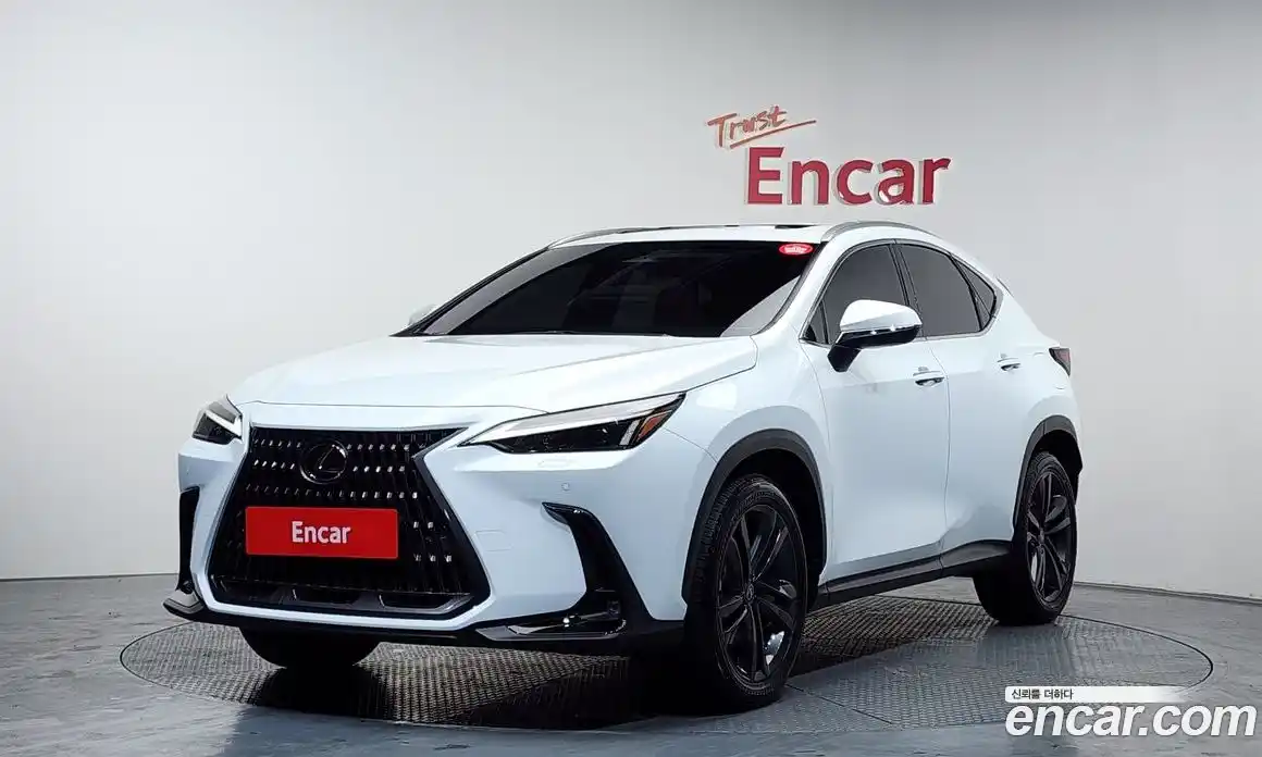 Lexus NX 2026 2.5 Автомат в Москве № 167949, фото 1