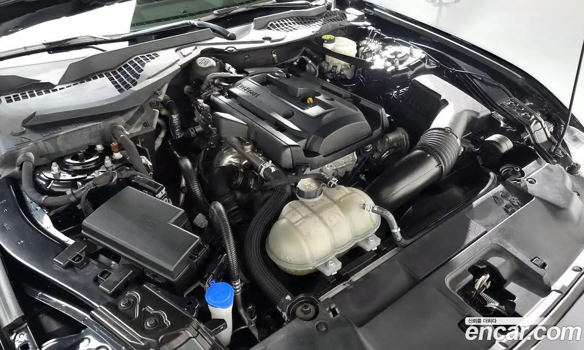 Ford Mustang 2023 2.3 Автомат в Москве № 170782, фото 15