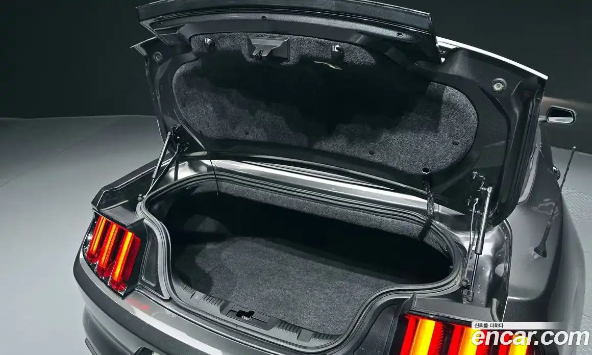 Ford Mustang 2017 2.3 Автомат в Москве № 170921, фото 20