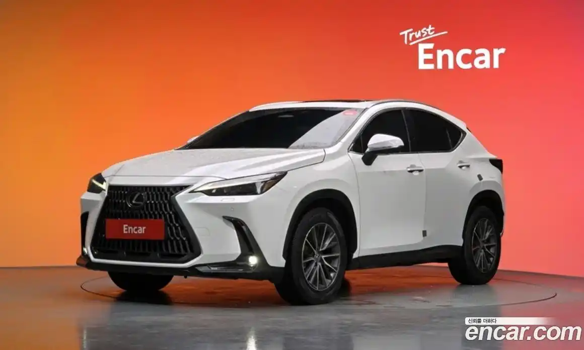 Lexus NX 2024 2.5 Автомат в Москве № 198748, фото 10