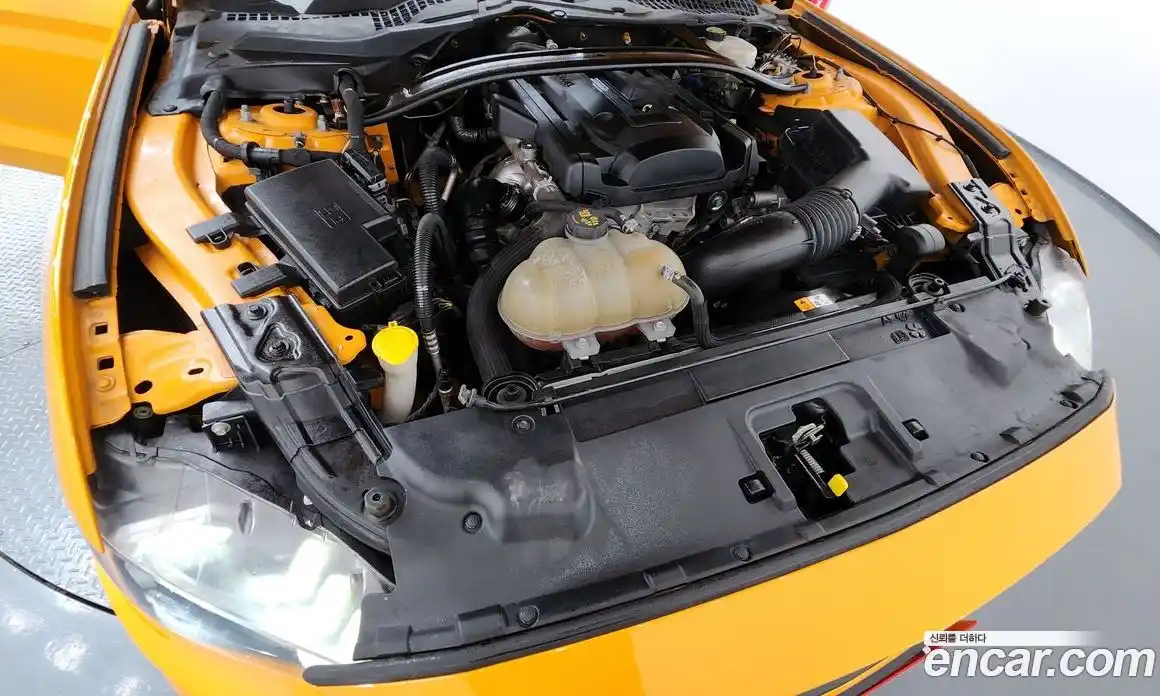 Ford Mustang 2018 2.3 Автомат в Москве № 303268, фото 16