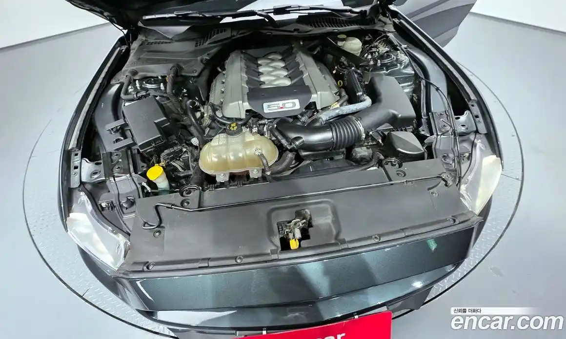 Ford Mustang 2016 5.0 Автомат в Москве № 199833, фото 13