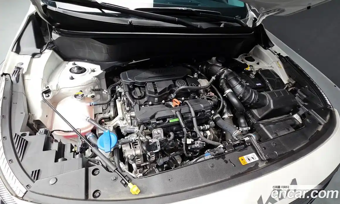 Kia Seltos 2024 1.6 Автомат в Москве № 127690, фото 12