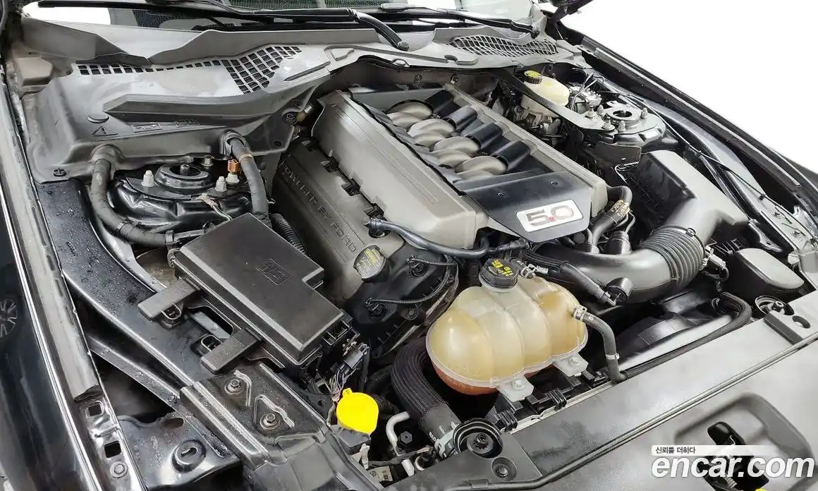 Ford Mustang 2015 5.0 Автомат в Москве № 170944, фото 7