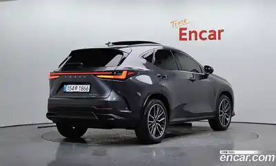 Lexus NX, 2025