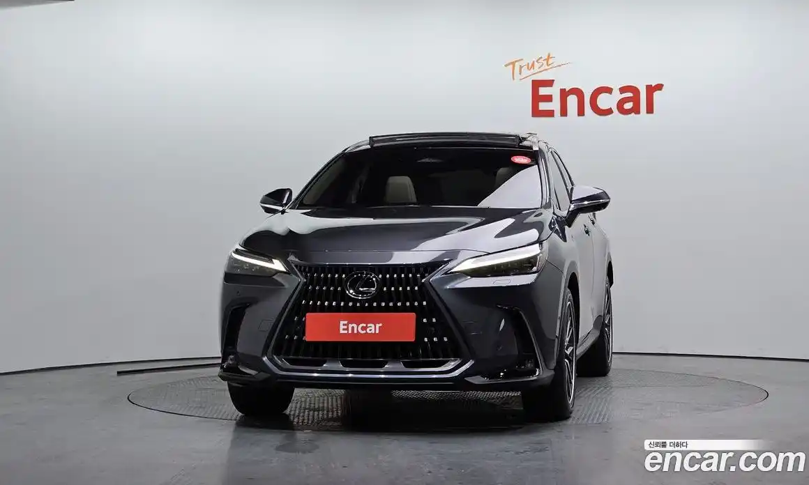 Lexus NX 2025 2.5 Автомат в Москве № 168023, фото 14