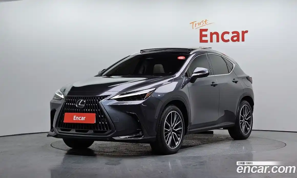 Lexus NX 2025 2.5 Автомат в Москве № 168023, фото 2