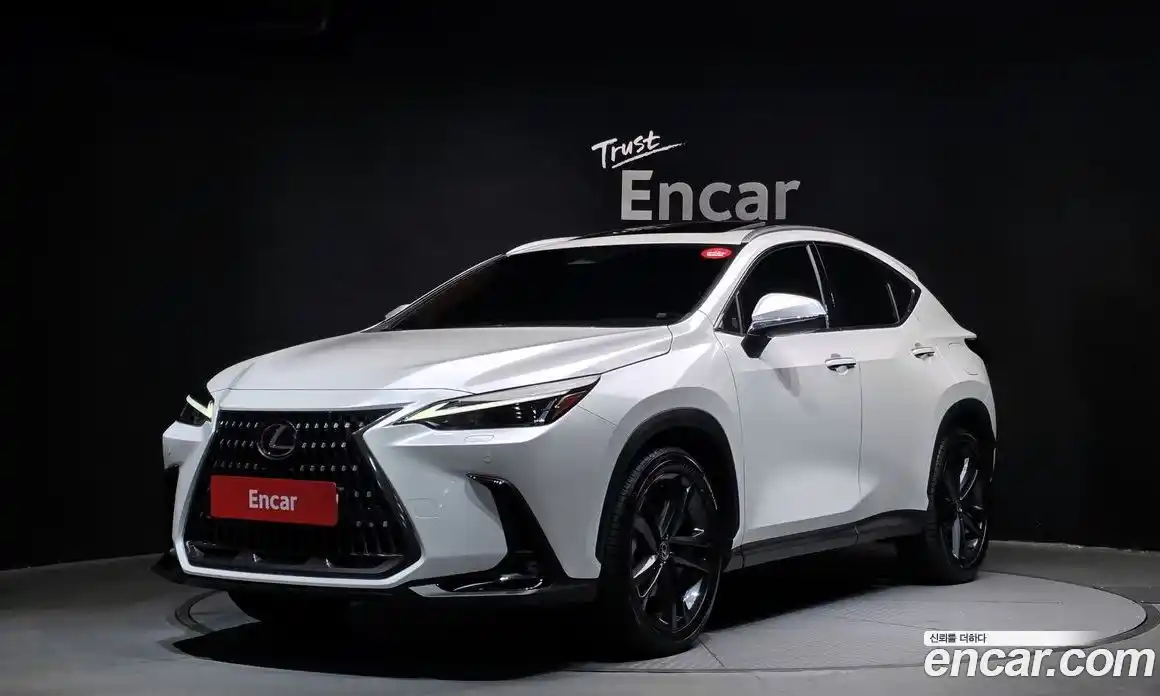 Lexus NX 2024 2.5 Автомат в Москве № 167964, фото 11
