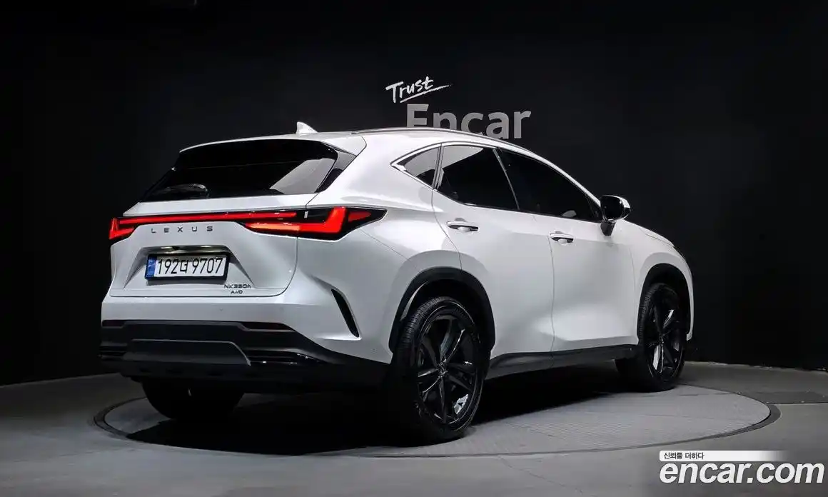 Lexus NX 2024 2.5 Автомат в Москве № 167964, фото 13