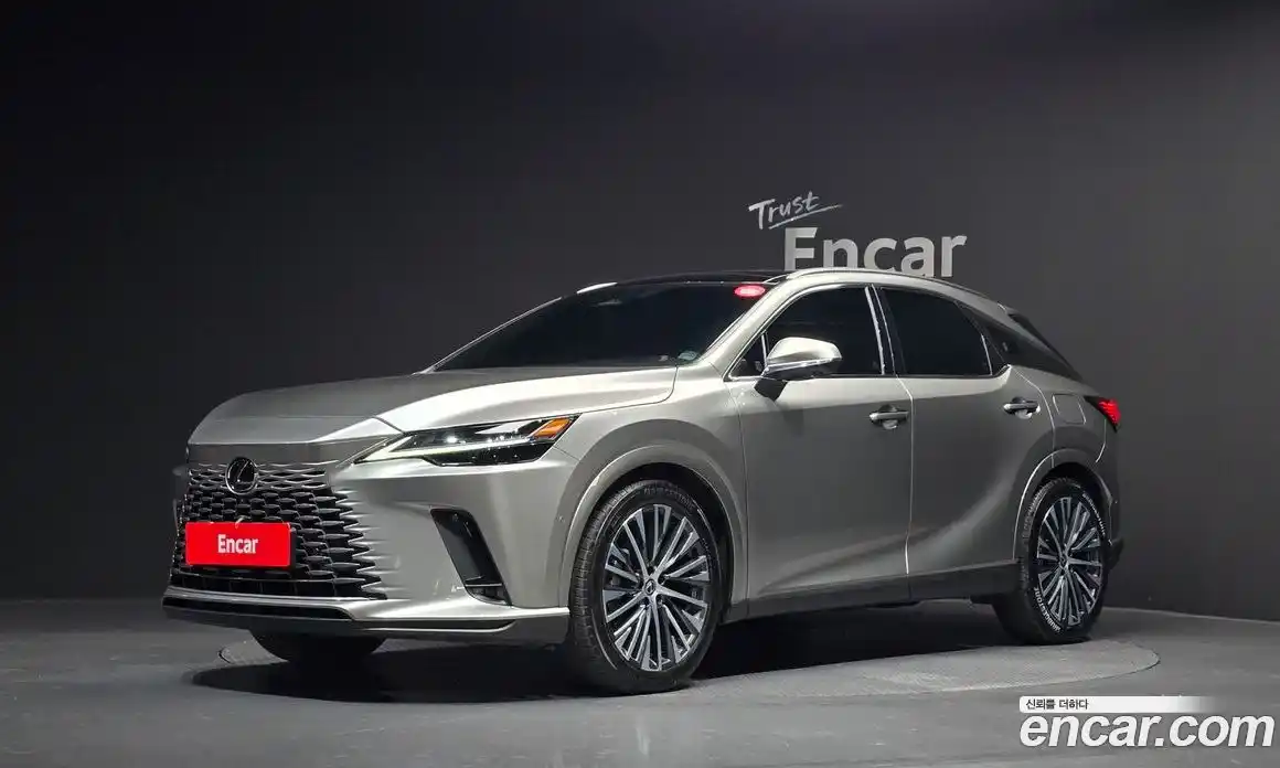 Lexus RX 2025 2.5 Автомат в Москве № 198756, фото 13