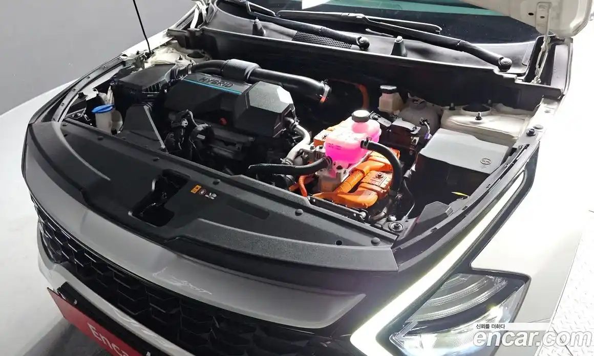 Kia Sportage 2024 1.6 Автомат в Москве № 22402, фото 12