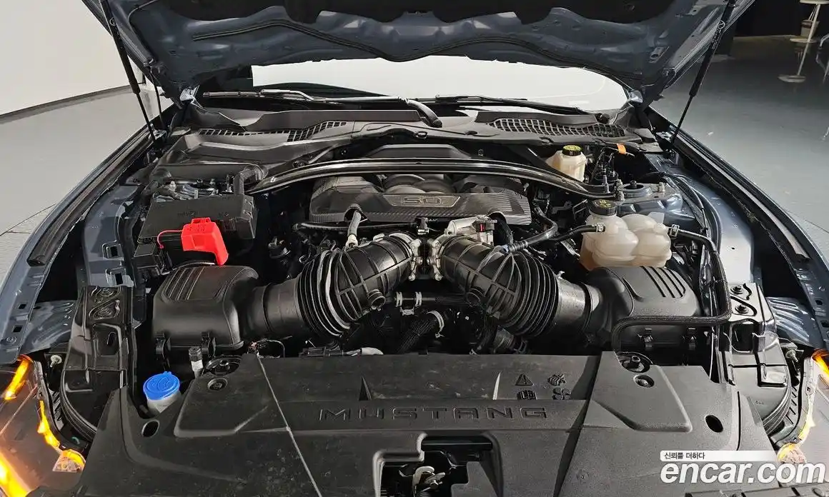 Ford Mustang 2024 5.0 Автомат в Москве № 233096, фото 9