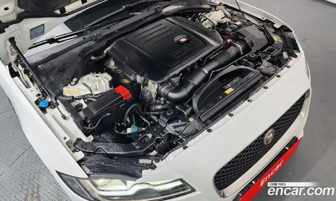 Jaguar XF 2019 2.0 Автомат в Москве № 304972, фото 5