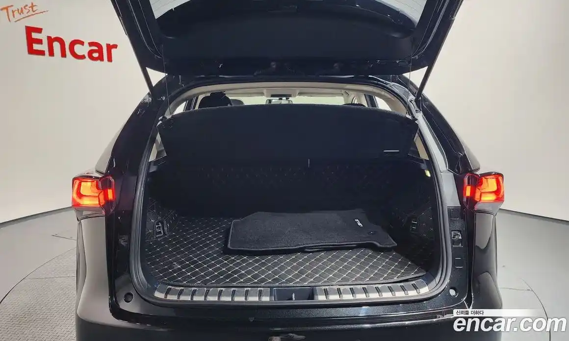 Lexus NX 2018 2.5 Автомат в Москве № 168142, фото 19