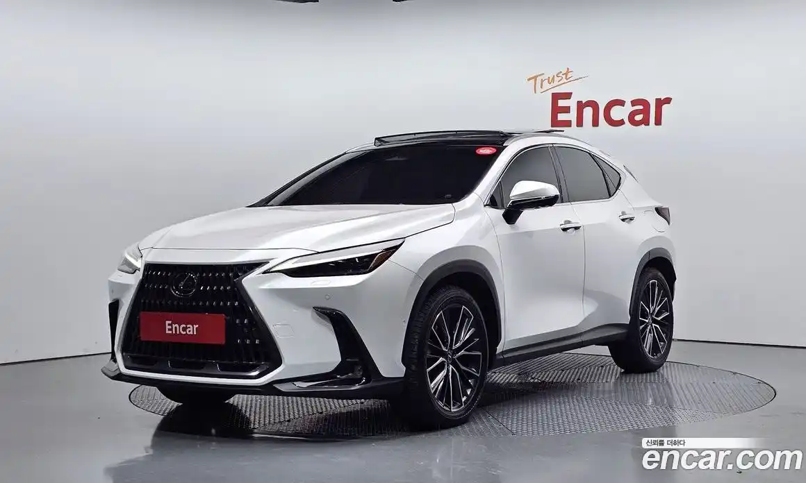 Lexus NX 2025 2.5 Автомат в Москве № 168030, фото 17