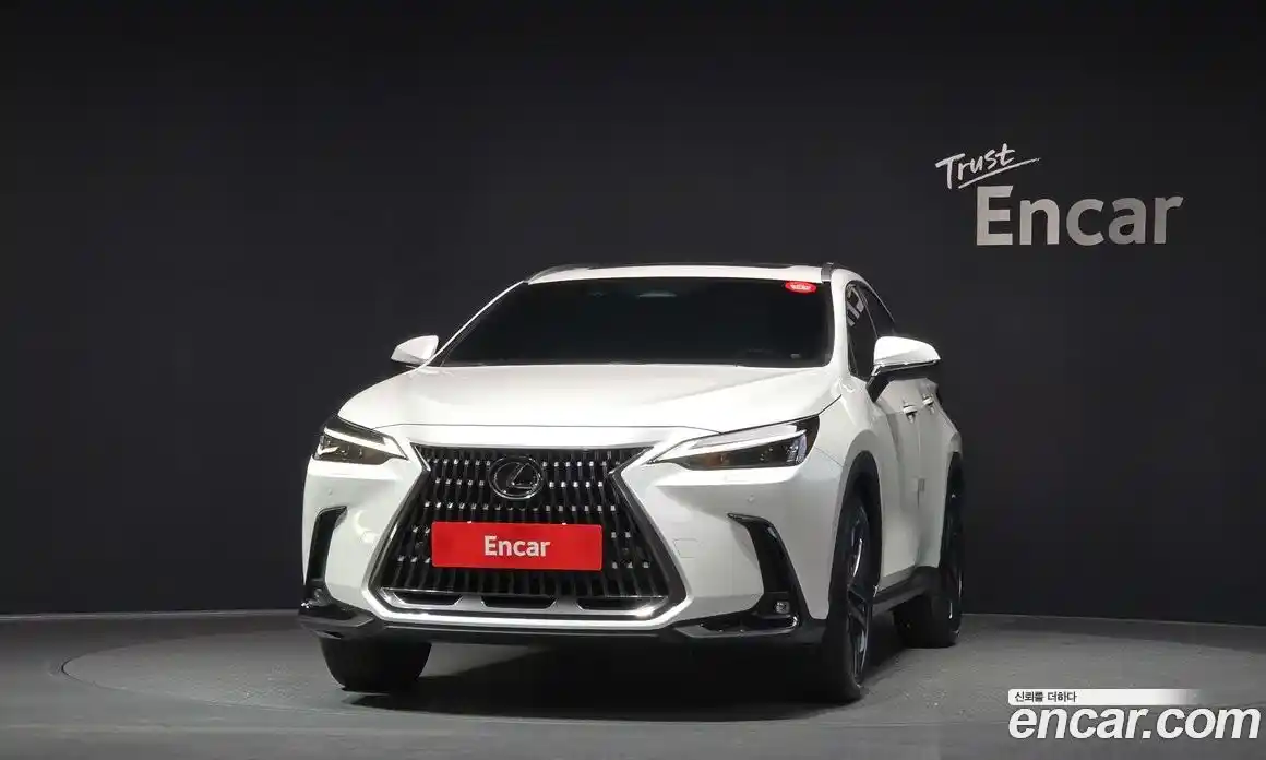 Lexus NX 2025 2.5 Автомат в Москве № 168045, фото 12
