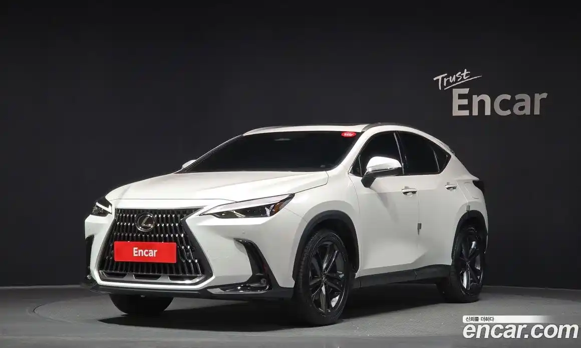 Lexus NX 2025 2.5 Автомат в Москве № 168045, фото 13