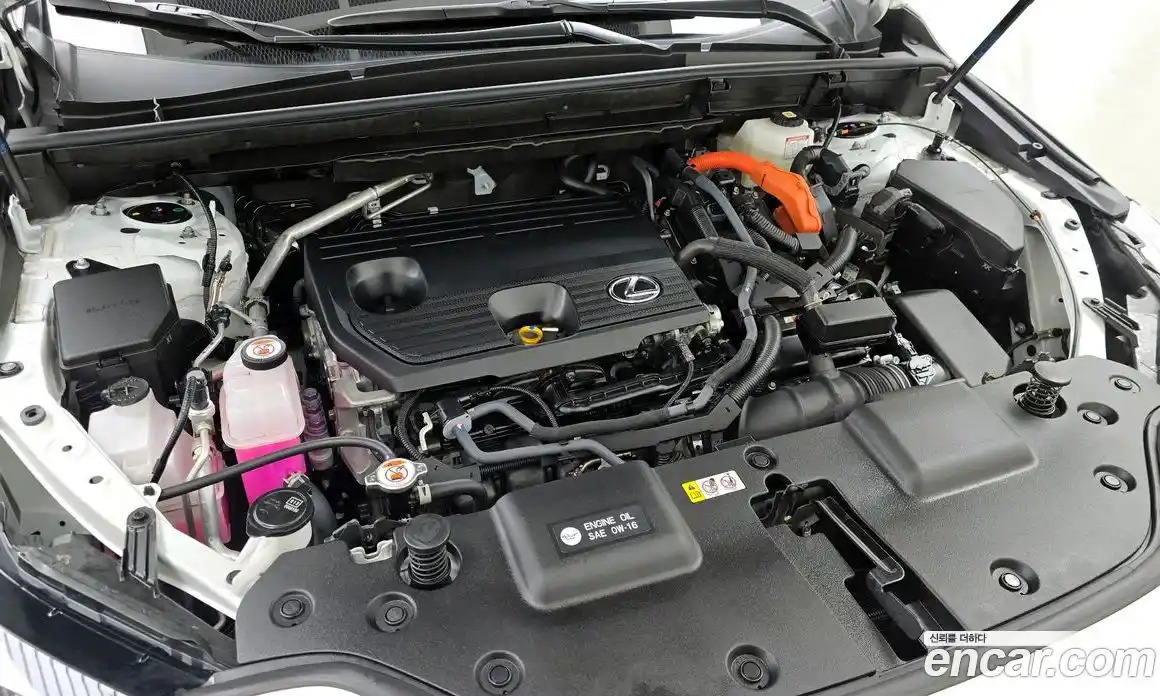 Lexus NX 2025 2.5 Автомат в Москве № 168045, фото 7