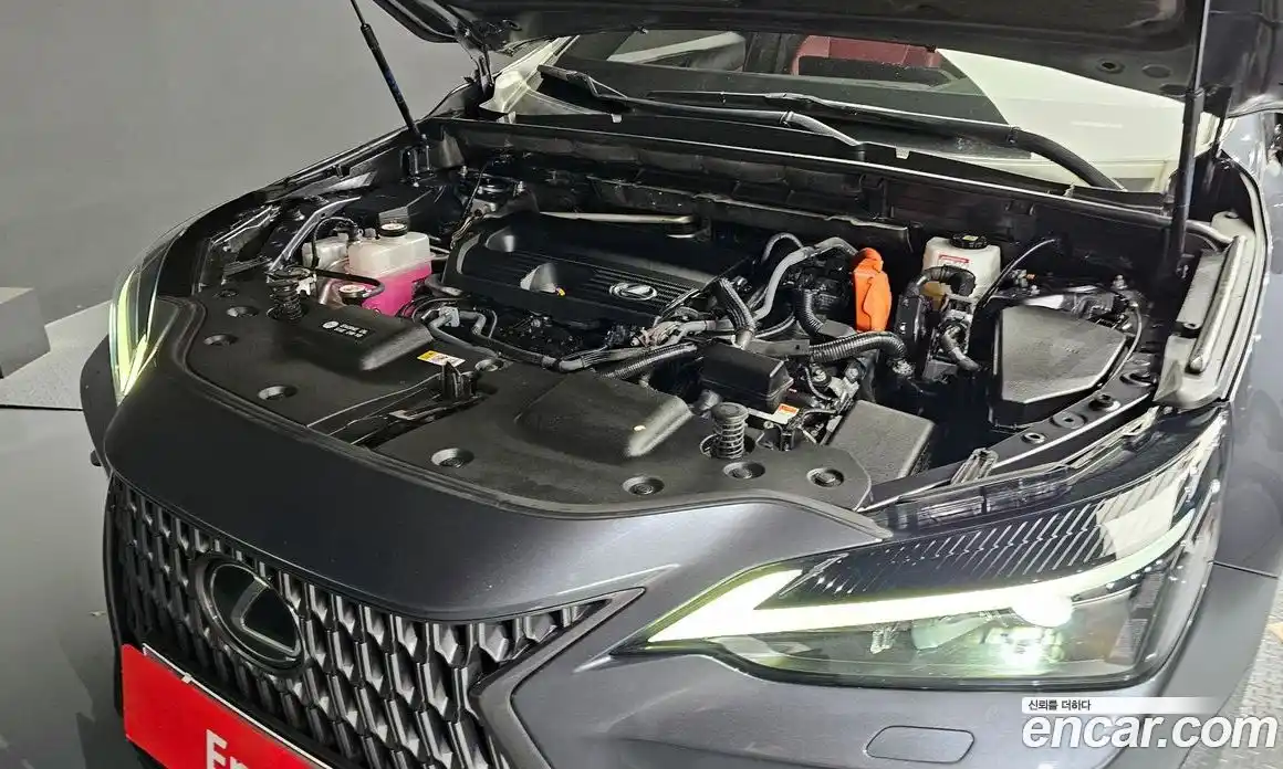 Lexus NX 2022 2.5 Автомат в Москве № 168215, фото 1