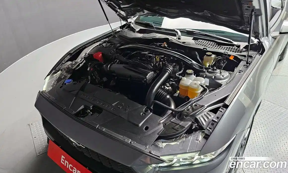 Ford Mustang 2024 2.3 Автомат в Москве № 233011, фото 16