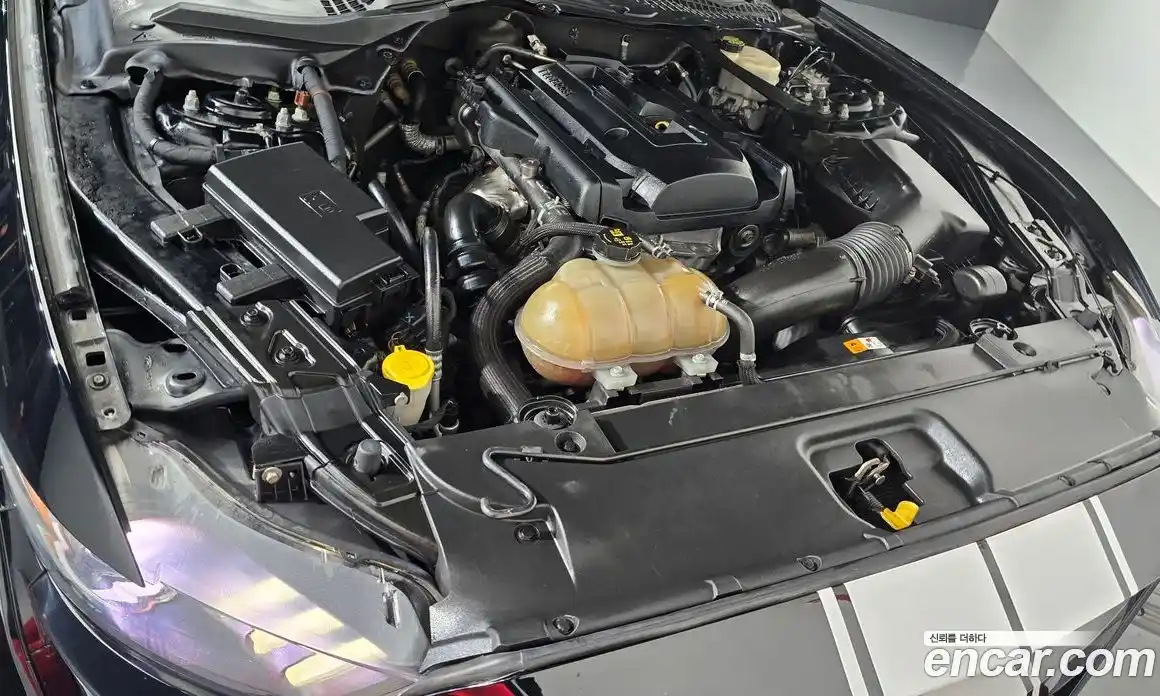 Ford Mustang 2017 2.3 Автомат в Москве № 255541, фото 12