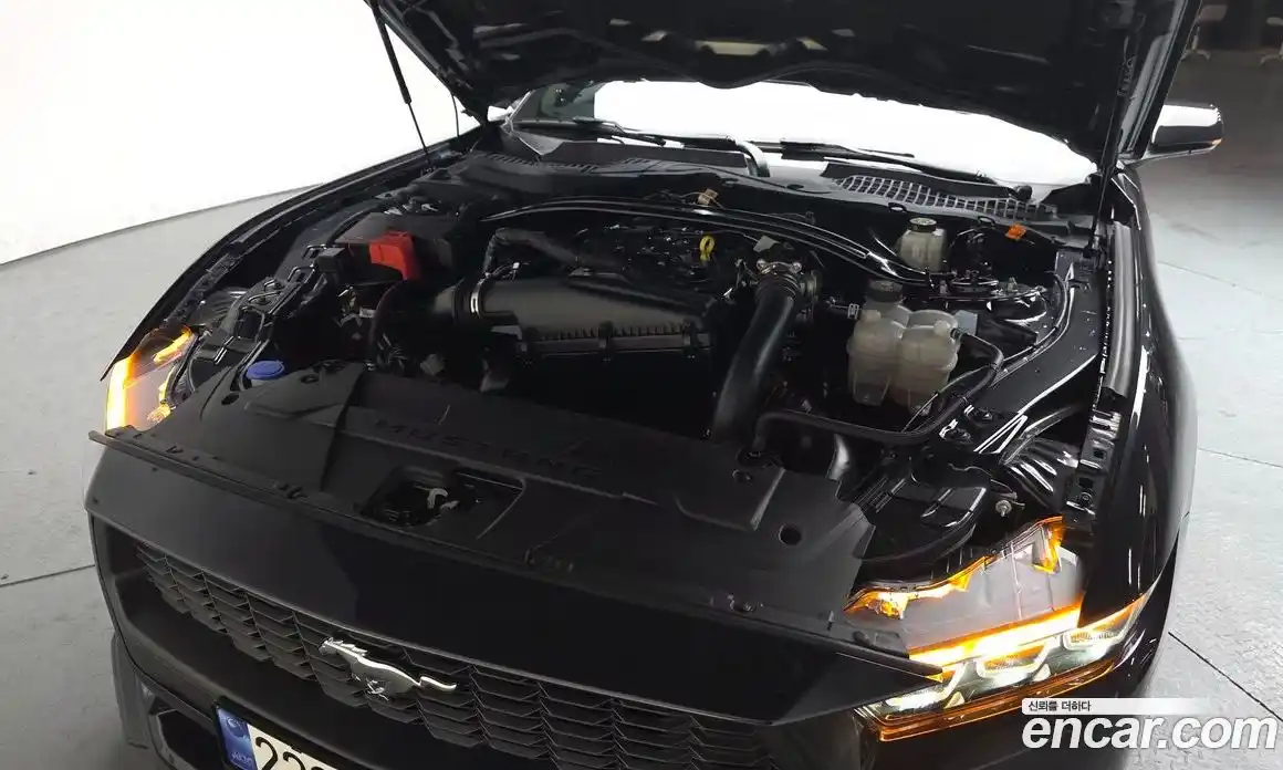 Ford Mustang 2024 2.3 Автомат в Москве № 318831, фото 8