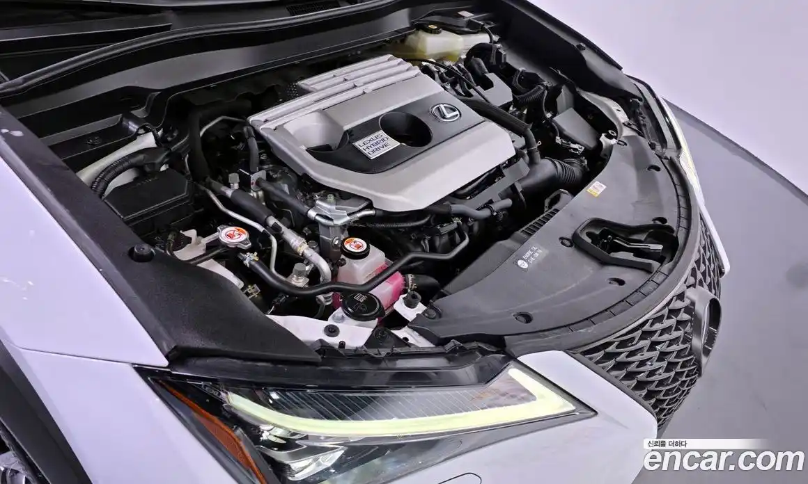 Lexus UX 2021 2.0 Автомат в Москве № 198875, фото 14