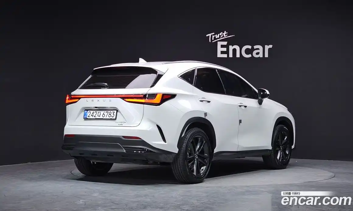 Lexus NX 2025 2.5 Автомат в Москве № 198731, фото 19