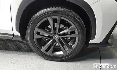 Lexus NX 2025 2.5 Автомат в Москве № 198731, миниатюра 3