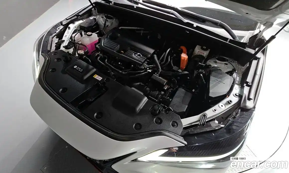 Lexus NX 2025 2.5 Автомат в Москве № 198731, фото 8