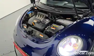 Volkswagen Beatle, 2008