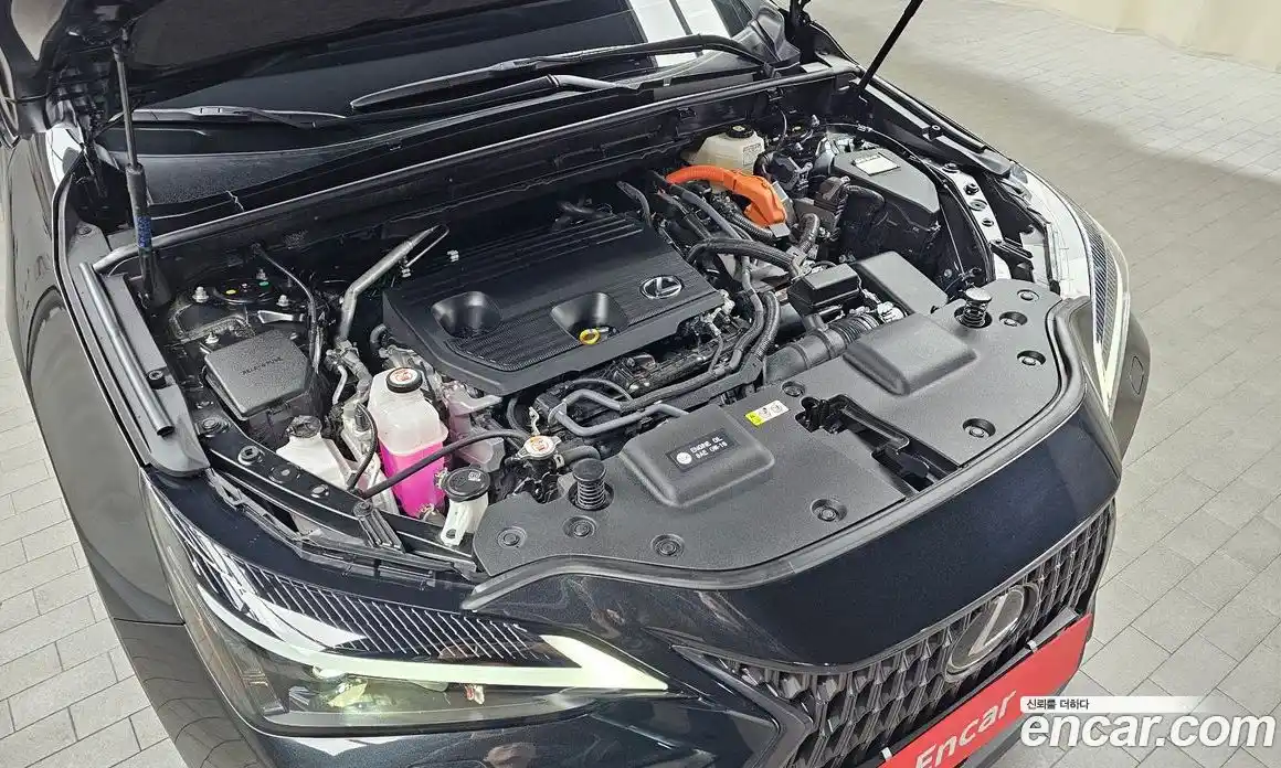 Lexus NX 2025 2.5 Автомат в Москве № 167998, фото 16