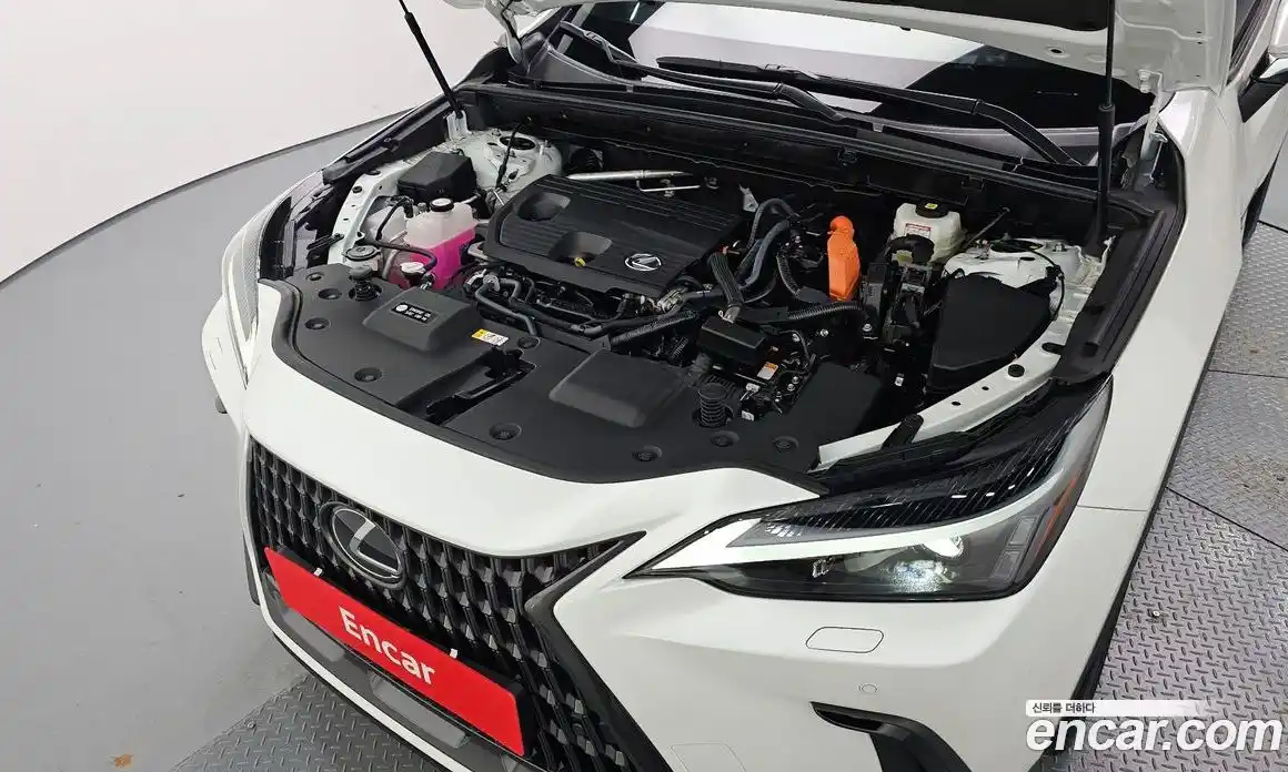 Lexus NX 2025 2.5 Автомат в Москве № 167951, фото 20