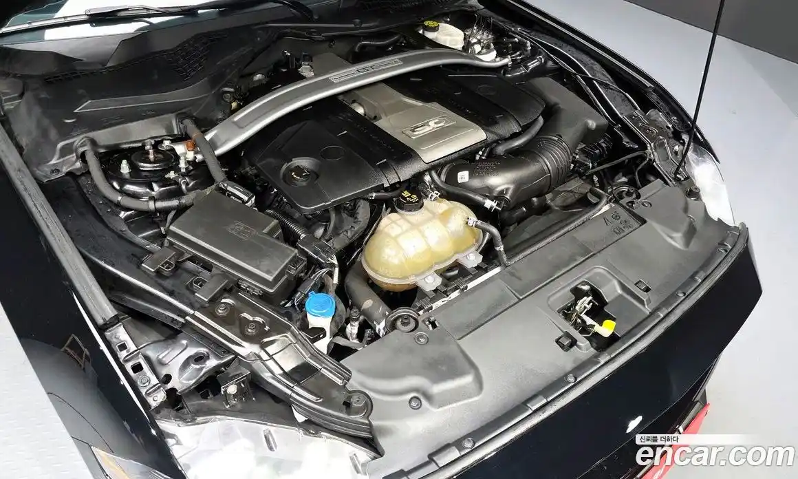 Ford Mustang 2020 5.0 Автомат в Москве № 313706, фото 12