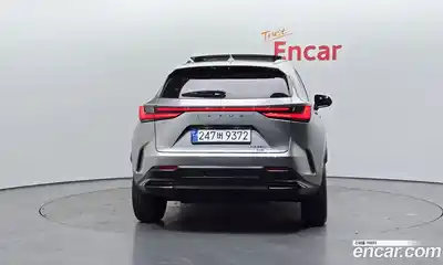 Lexus NX 2024 2.5 Автомат в Москве № 168068, миниатюра 11