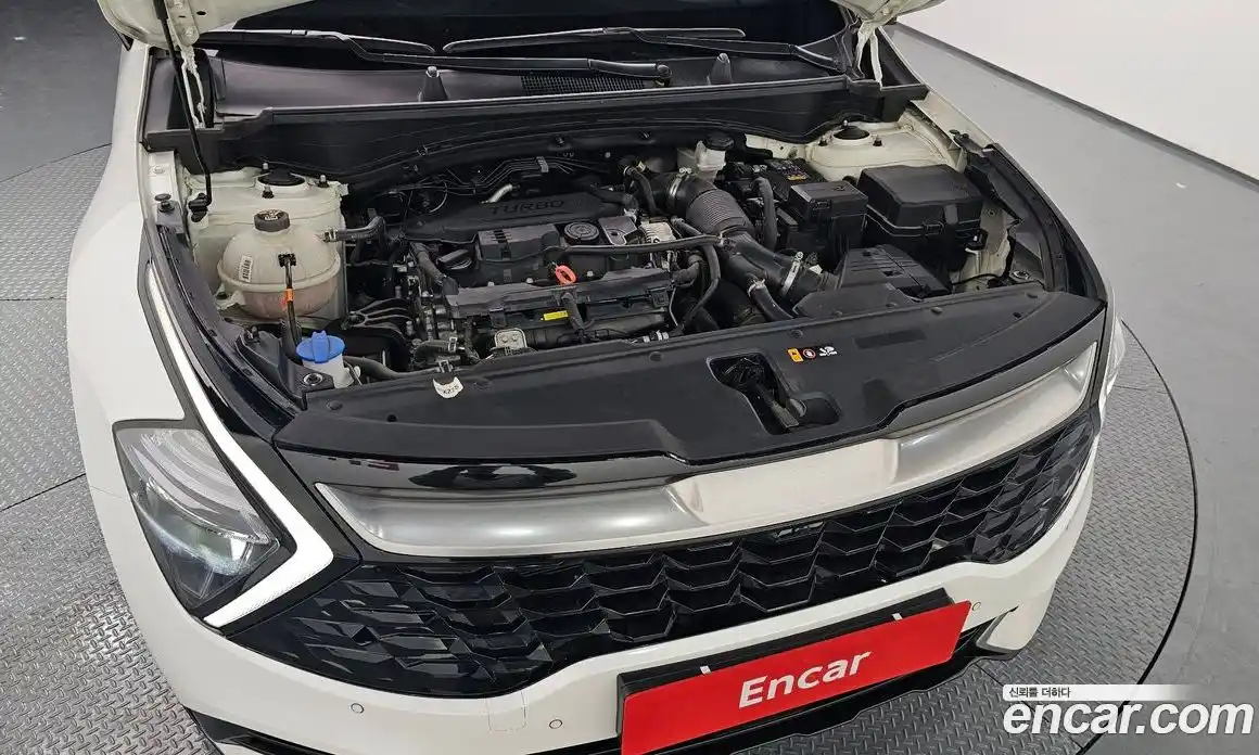 Kia Sportage 2024 1.6 Автомат в Москве № 101564, фото 17