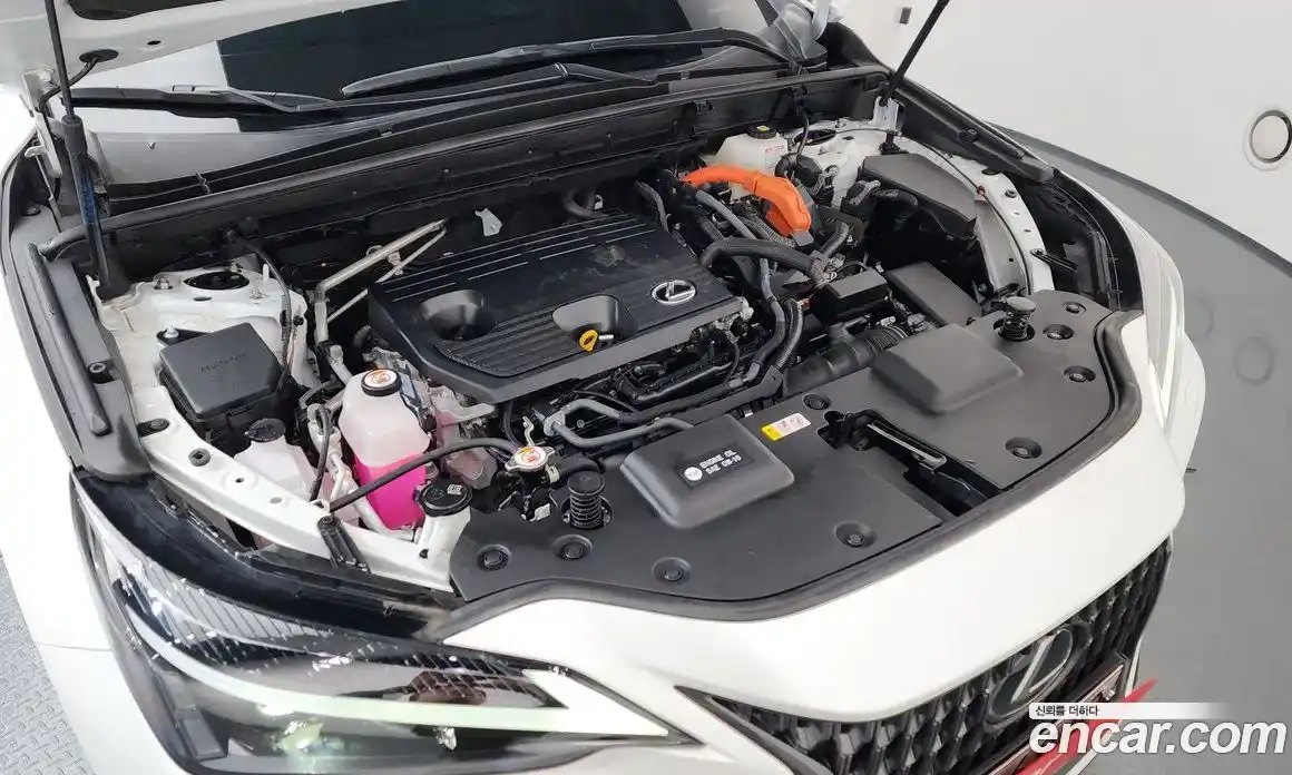 Lexus NX 2023 2.5 Автомат в Москве № 168110, фото 18