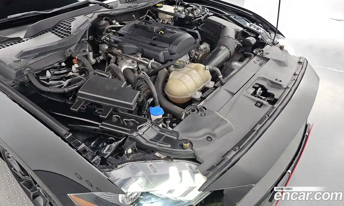 Ford Mustang 2021 2.3 Автомат в Москве № 199872, фото 5