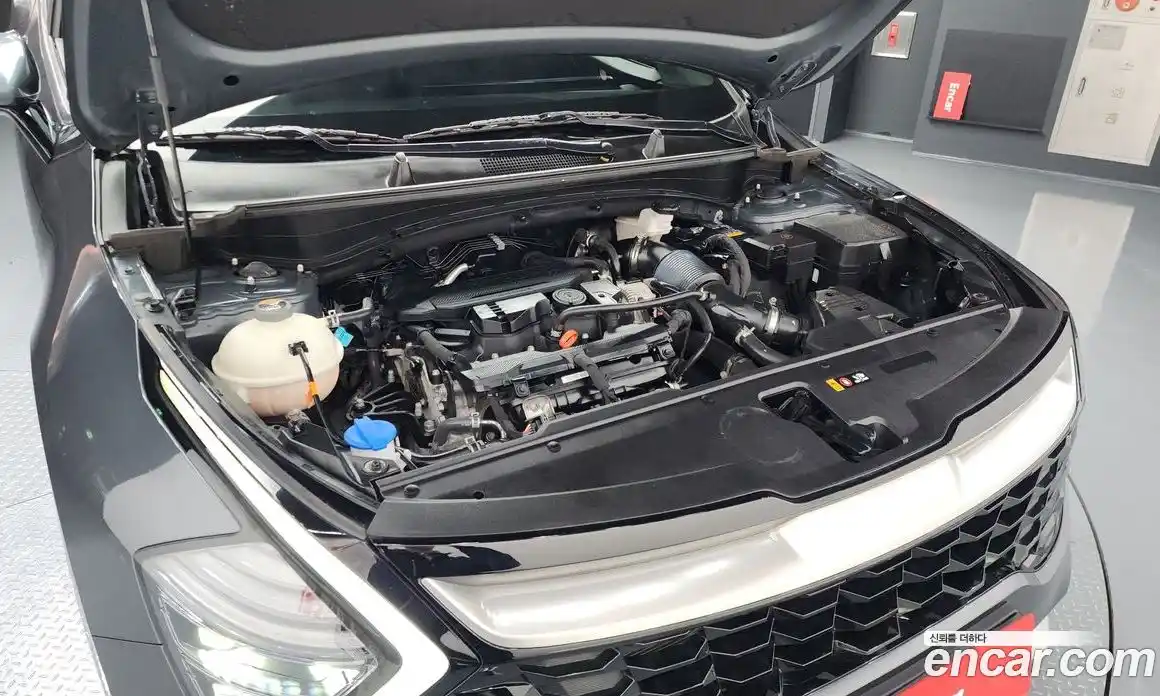 Kia Sportage 2023 1.6 Автомат в Москве № 129784, фото 3