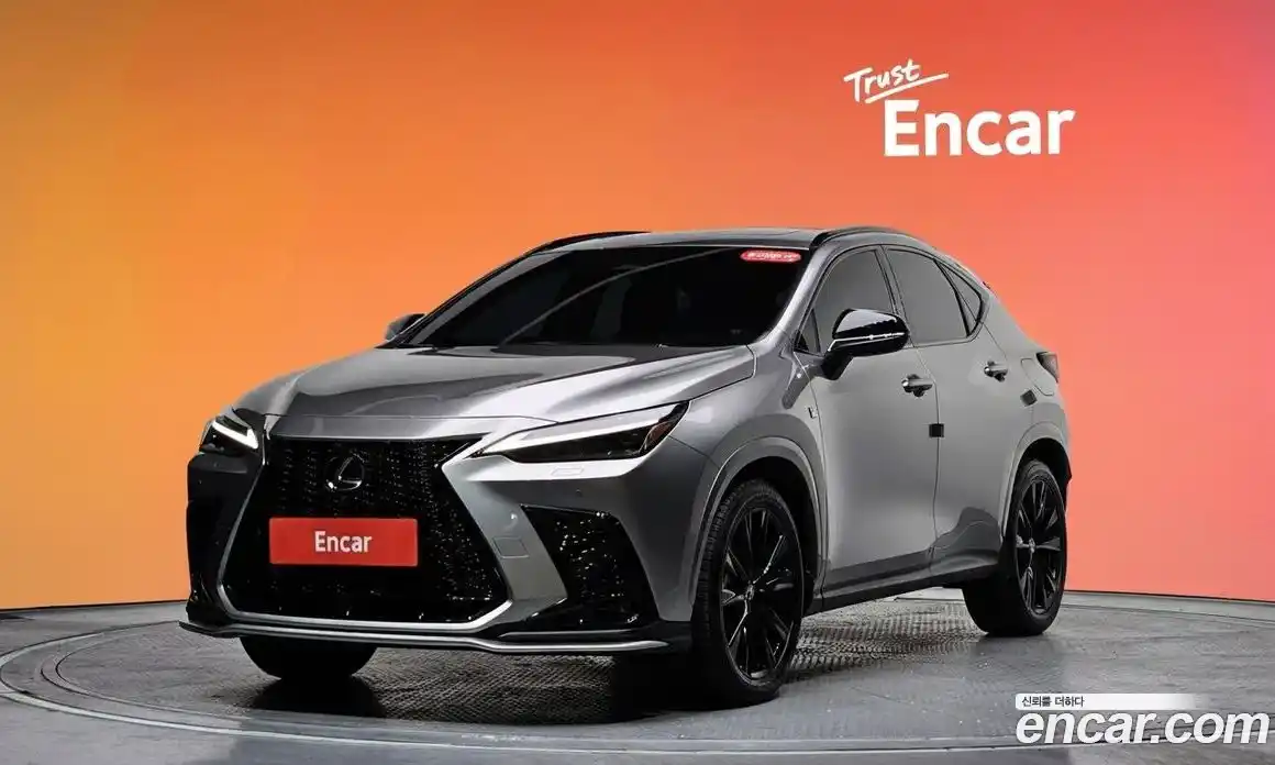 Lexus NX 2024 2.5 Автомат в Москве № 168062, фото 17