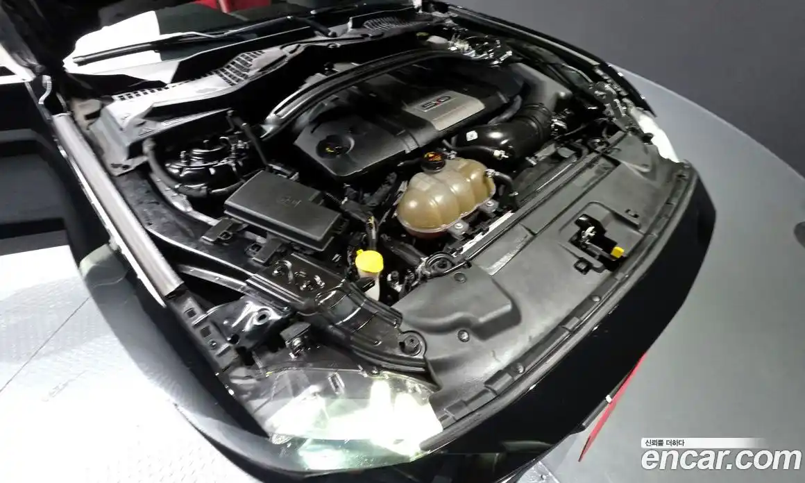 Ford Mustang 2019 5.0 Автомат в Москве № 246840, фото 9