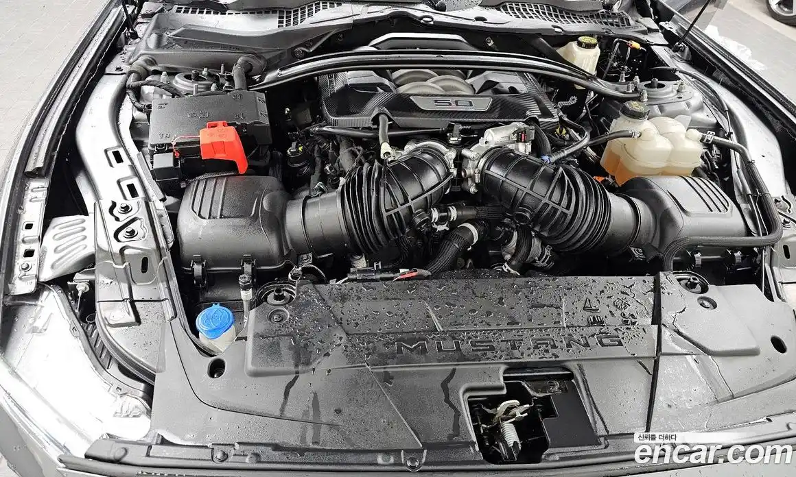 Ford Mustang 2024 5.0 Автомат в Москве № 255471, фото 10