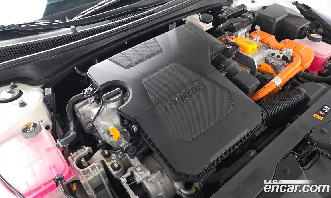 Hyundai Avante 2023 1.6 Автомат в Москве № 330896, фото 19