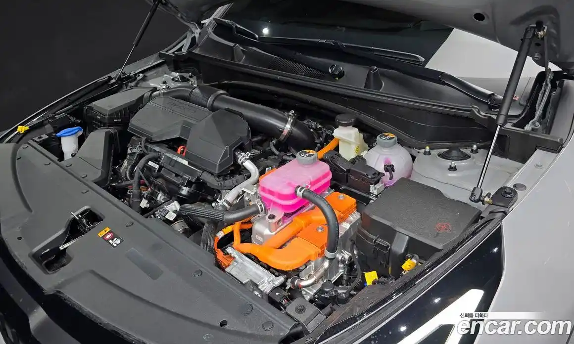 Kia Sportage 2026 1.6 Автомат в Москве № 54479, фото 3