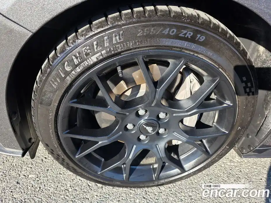 Ford Mustang 2020 2.3 Автомат в Москве № 337229, фото 3