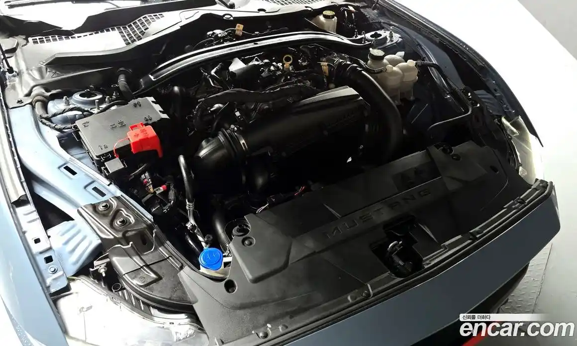 Ford Mustang 2024 2.3 Автомат в Москве № 233209, фото 20