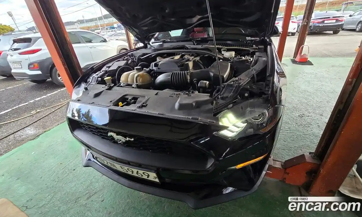 Ford Mustang 2018 2.3 Автомат в Москве № 330791, фото 3