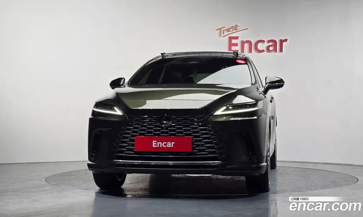 Lexus RX 2024 2.5 Автомат в Москве № 198721, фото 13