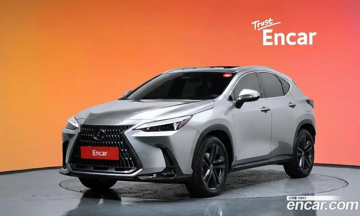 Lexus NX 2024 2.5 Автомат в Москве № 198752, фото 20